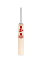 SG ARC 2.0 Cricket Bat