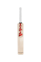 SG ARC 2.0 Cricket Bat