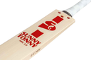 SG ARC 2.0 Cricket Bat