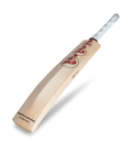 SG ARC 3.0 Cricket Bat