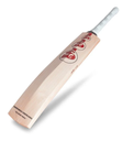 SG ARC 1.0 Cricket Bat